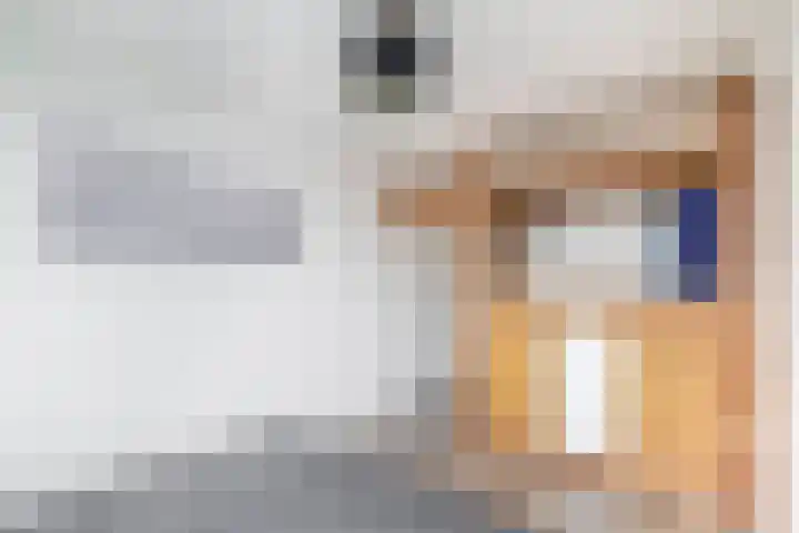Zalkerbos 91 Zoetermeer thumbnail 30