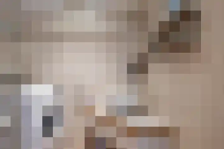 Zalkerbos 91 Zoetermeer thumbnail 32