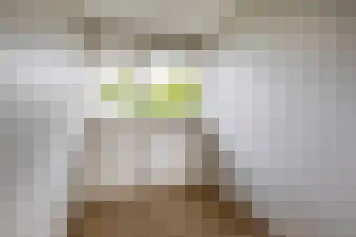 Zalkerbos 91 Zoetermeer thumbnail 34