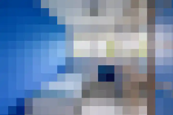 Zalkerbos 91 Zoetermeer thumbnail 36