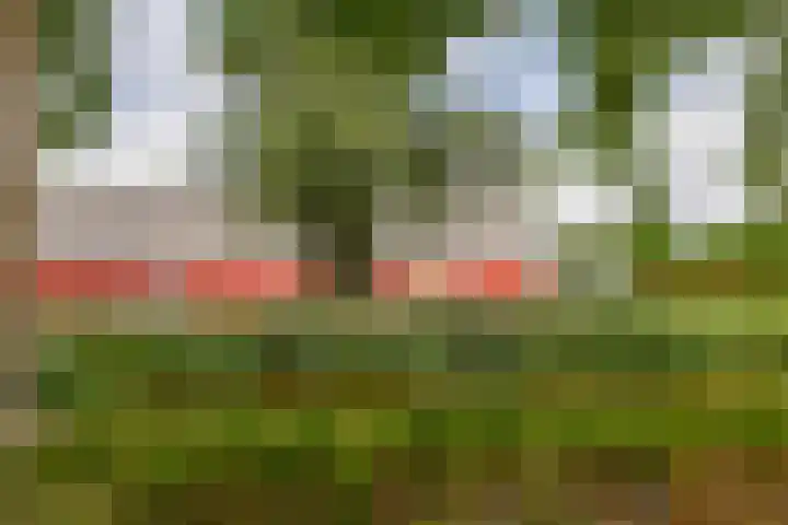 Zalkerbos 91 Zoetermeer thumbnail 38