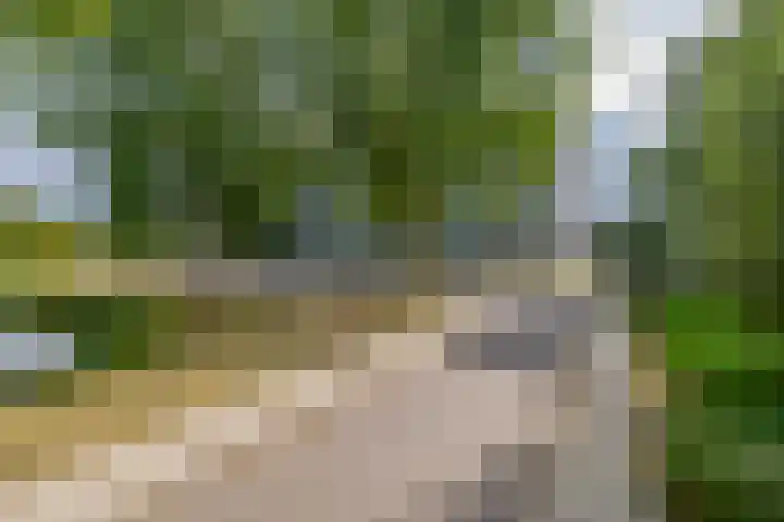 Zalkerbos 91 Zoetermeer thumbnail 48
