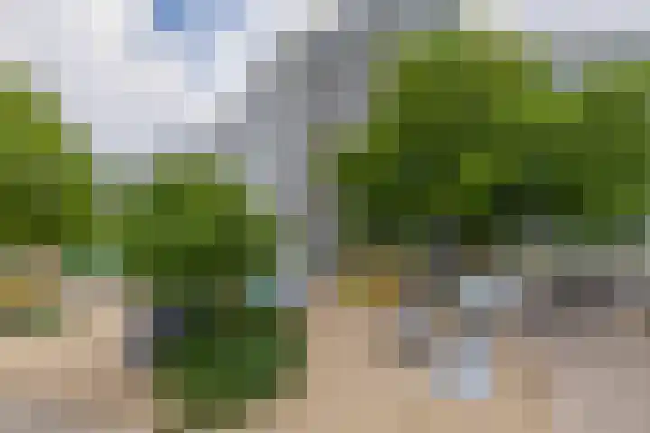 Zalkerbos 91 Zoetermeer thumbnail 50
