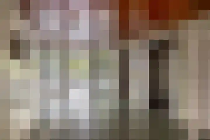 Zalkerbos 91 Zoetermeer thumbnail 8