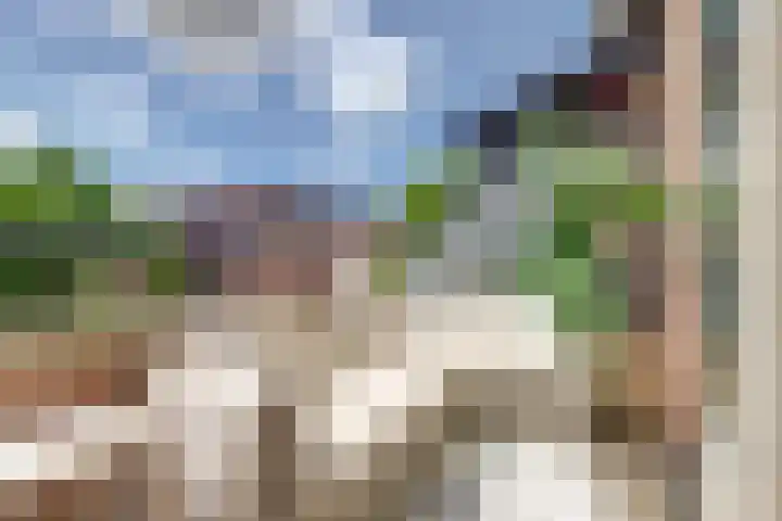 Zalm 144 Hendrik-Ido-Ambacht thumbnail 10