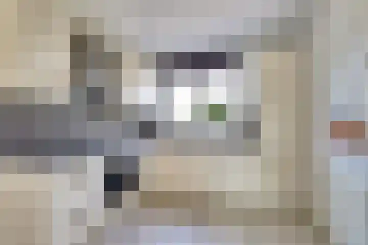 Zalm 144 Hendrik-Ido-Ambacht thumbnail 16