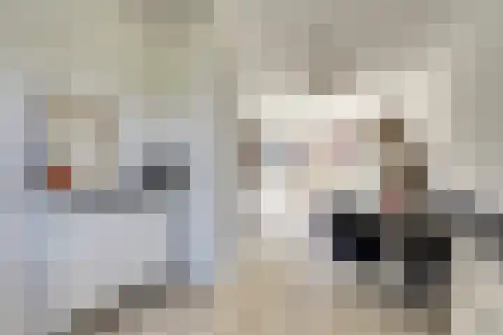 Zalm 144 Hendrik-Ido-Ambacht thumbnail 18