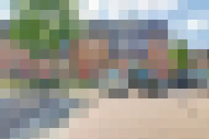 Zalm 144 Hendrik-Ido-Ambacht thumbnail 31