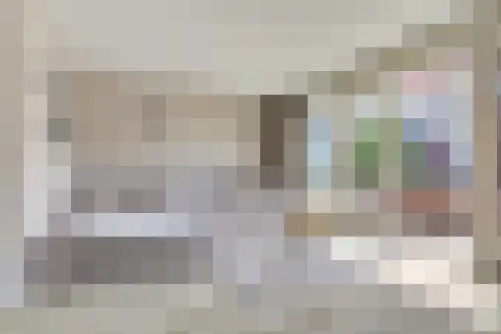 Zalm 144 Hendrik-Ido-Ambacht thumbnail 7