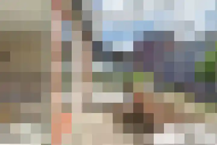 Zalm 144 Hendrik-Ido-Ambacht thumbnail 8