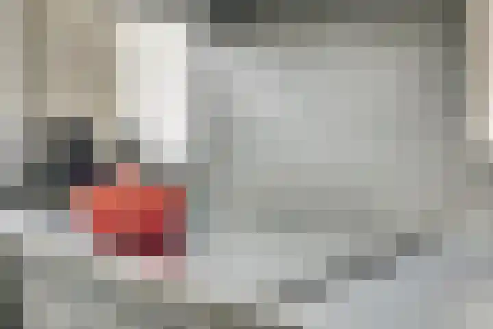 Zalm 146 Hendrik-Ido-Ambacht thumbnail 10