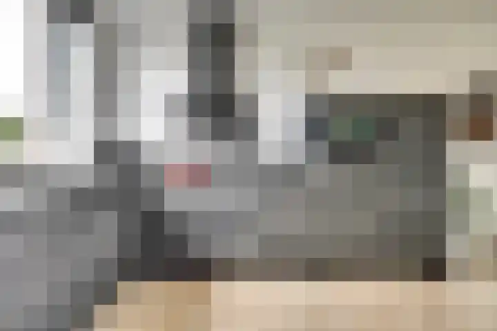 Zalm 146 Hendrik-Ido-Ambacht thumbnail 11
