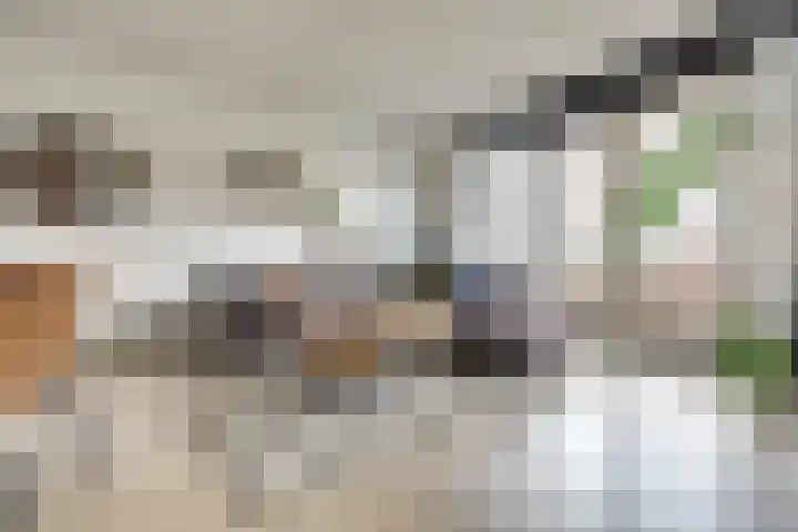Zalm 146 Hendrik-Ido-Ambacht thumbnail 14
