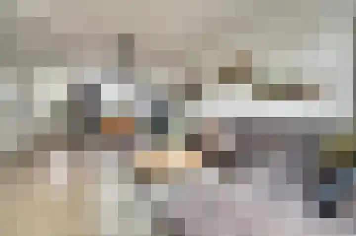 Zalm 146 Hendrik-Ido-Ambacht thumbnail 16