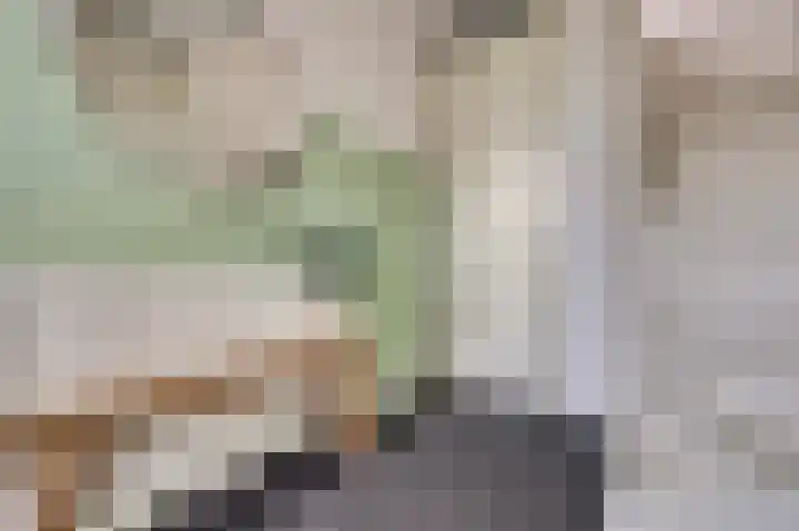 Zalm 146 Hendrik-Ido-Ambacht thumbnail 6