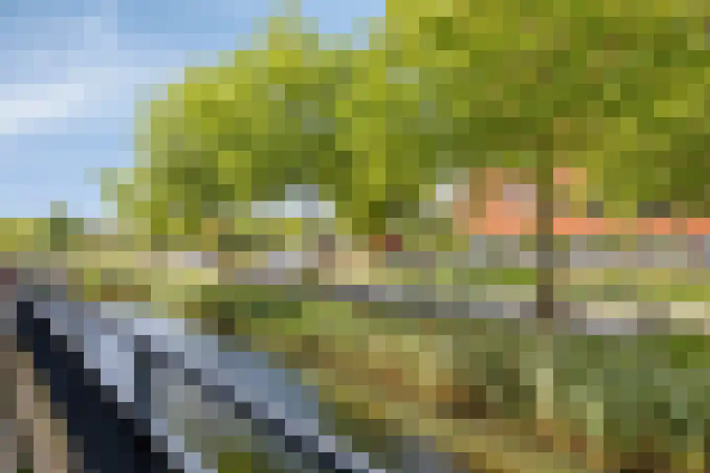 Zalm 158 Hendrik-Ido-Ambacht thumbnail 33