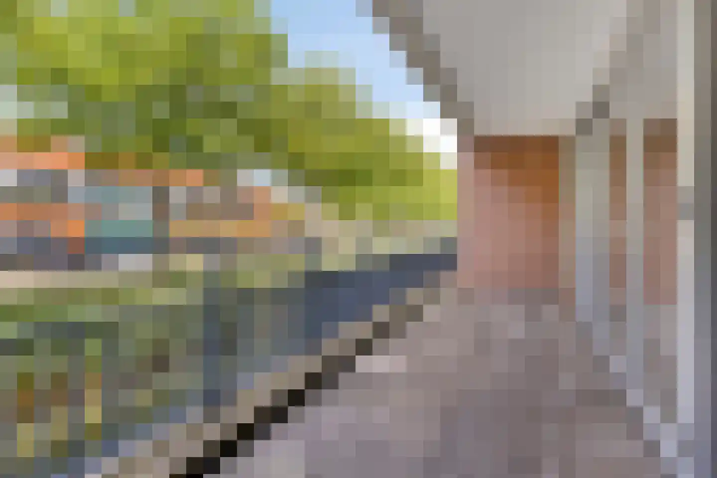 Zalm 158 Hendrik-Ido-Ambacht thumbnail 7