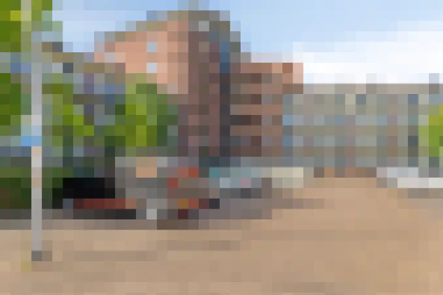 Zalm 158 Hendrik-Ido-Ambacht thumbnail 9