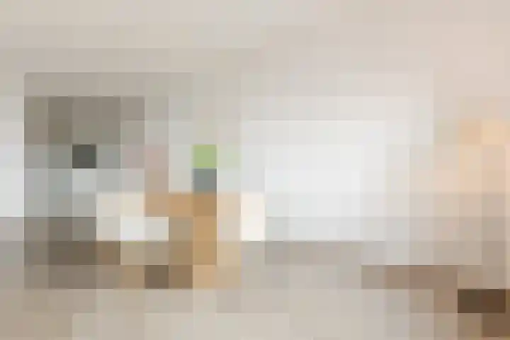 Zalm 192 Hendrik-Ido-Ambacht thumbnail 10
