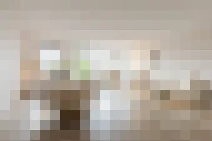 Zalm 192 Hendrik-Ido-Ambacht thumbnail 13
