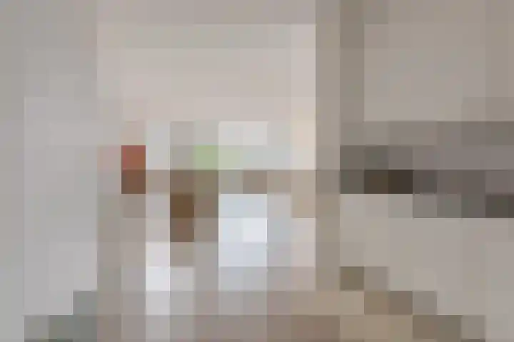 Zalm 192 Hendrik-Ido-Ambacht thumbnail 17