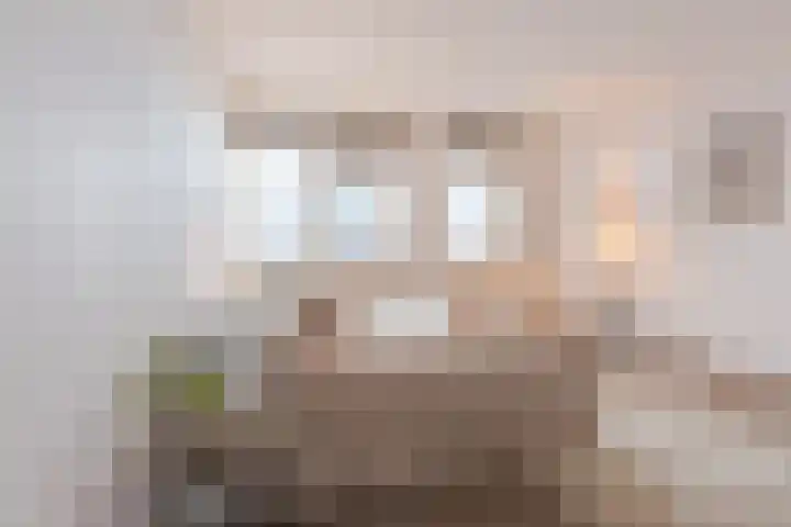 Zalm 192 Hendrik-Ido-Ambacht thumbnail 23