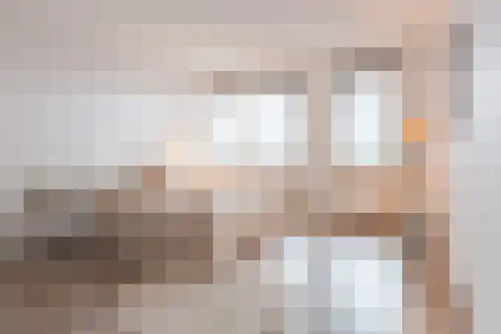 Zalm 192 Hendrik-Ido-Ambacht thumbnail 24
