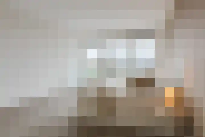 Zalm 192 Hendrik-Ido-Ambacht thumbnail 29