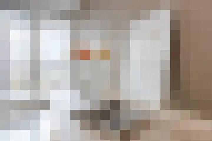 Zalm 192 Hendrik-Ido-Ambacht thumbnail 32
