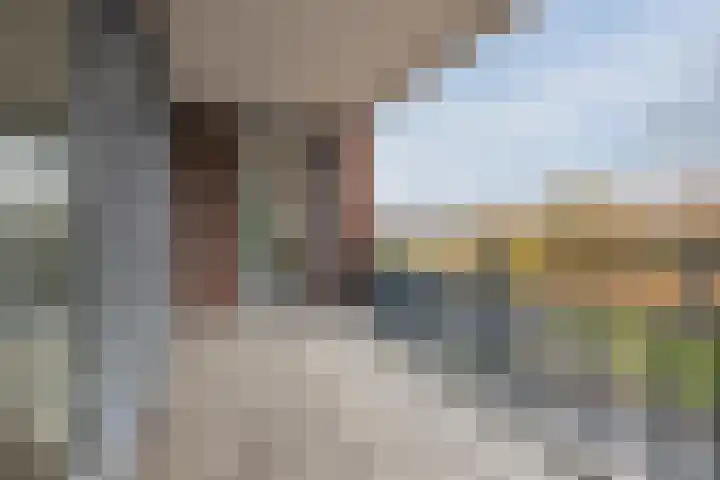 Zalm 192 Hendrik-Ido-Ambacht thumbnail 39
