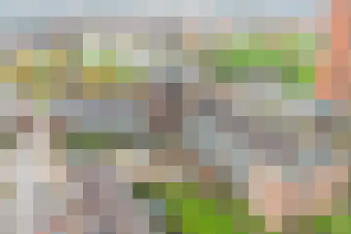 Zalm 192 Hendrik-Ido-Ambacht thumbnail 4