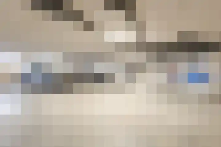 Zalm 192 Hendrik-Ido-Ambacht thumbnail 43