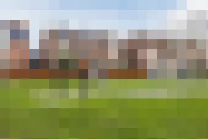 Zalm 192 Hendrik-Ido-Ambacht thumbnail 48