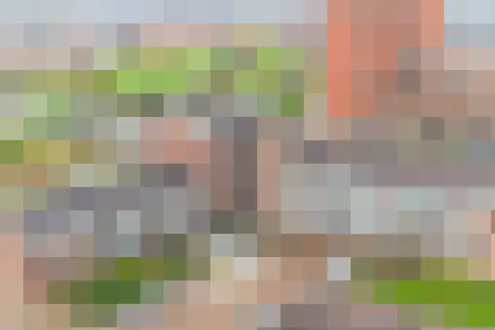 Zalm 192 Hendrik-Ido-Ambacht thumbnail 5