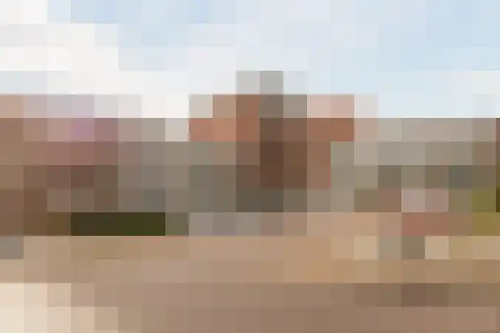Zalm 192 Hendrik-Ido-Ambacht thumbnail 6