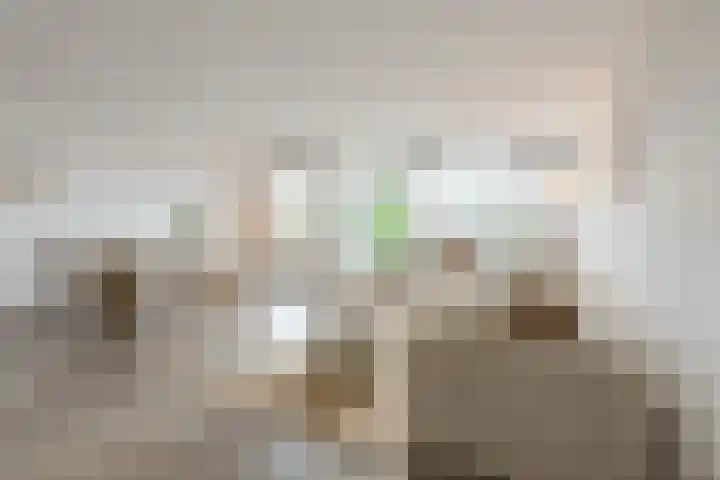 Zalm 192 Hendrik-Ido-Ambacht thumbnail 7