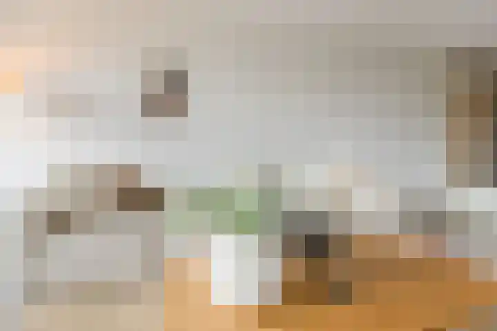 Zalm 192 Hendrik-Ido-Ambacht thumbnail 8