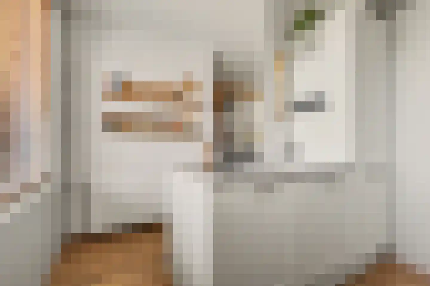 Zalm 2 Hellevoetsluis thumbnail 10
