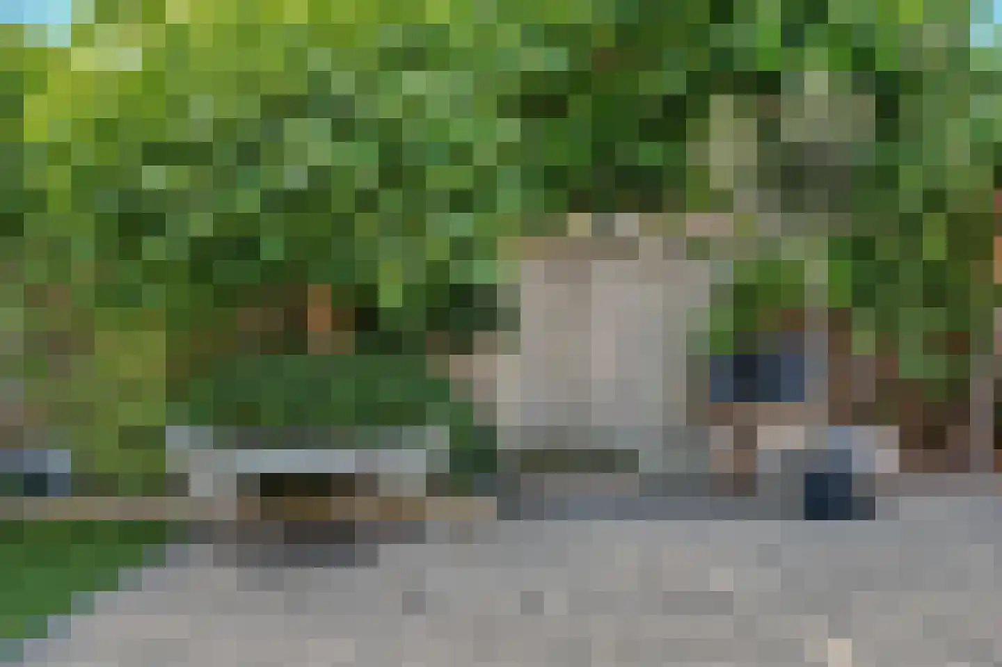 Zalm 2 Hellevoetsluis thumbnail 27