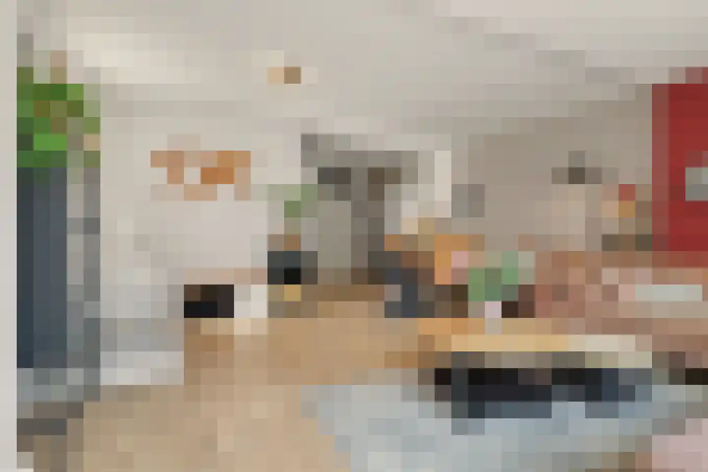 Zalm 2 Hellevoetsluis thumbnail 6