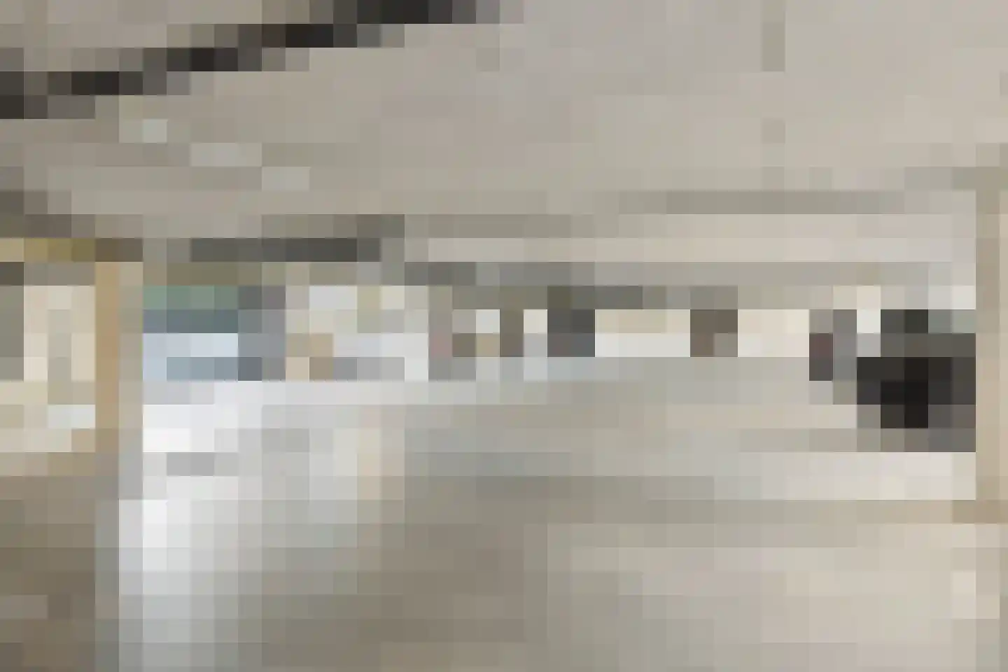 Zalm 204 Hendrik-Ido-Ambacht thumbnail 21