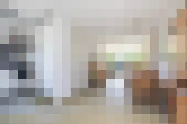Zalm 21 Amersfoort thumbnail 10