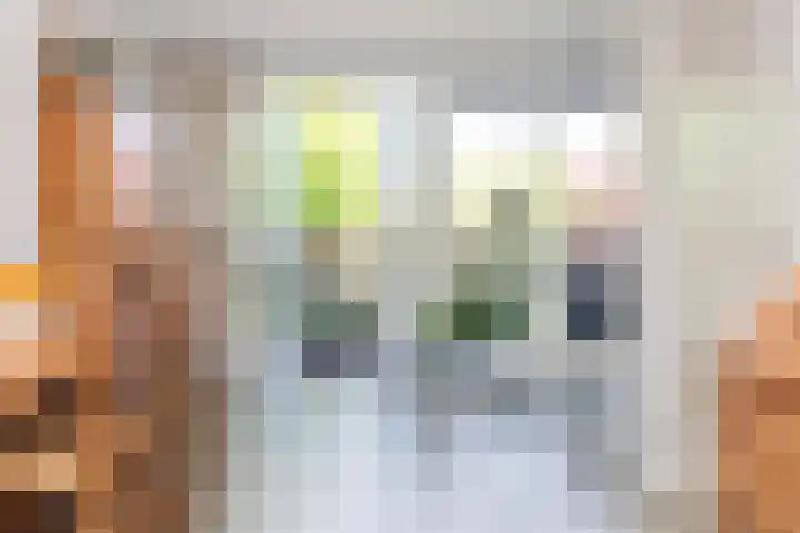 Zalm 21 Amersfoort thumbnail 12