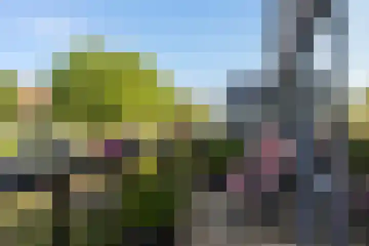 Zalm 21 Amersfoort thumbnail 13