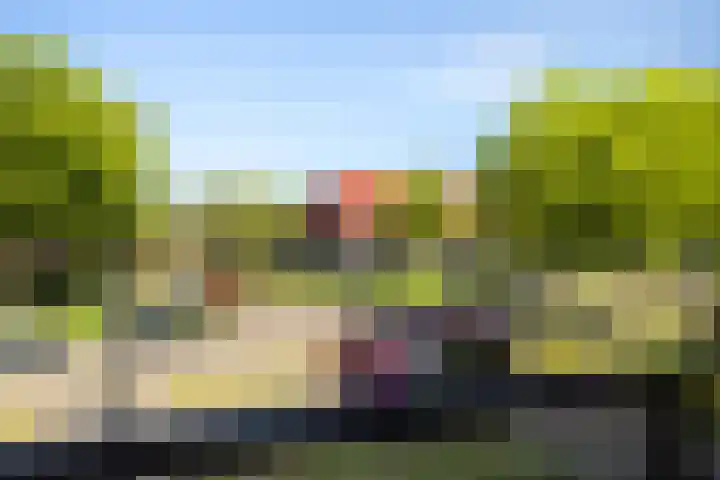 Zalm 21 Amersfoort thumbnail 14