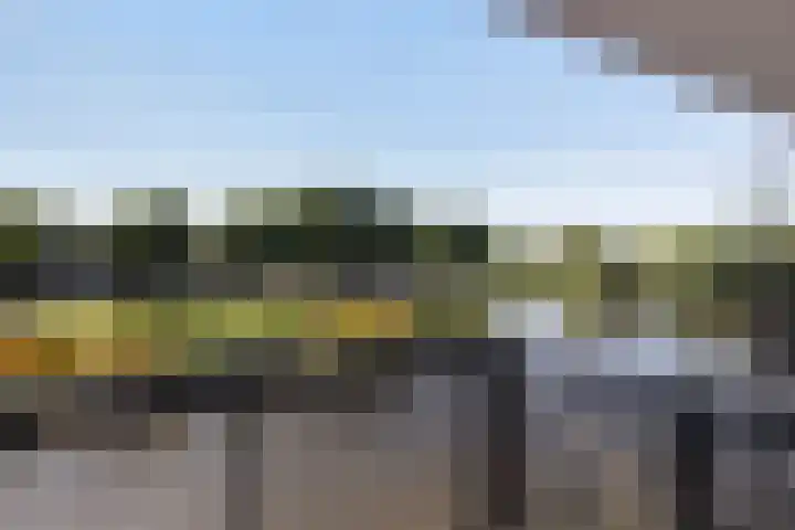 Zalm 21 Amersfoort thumbnail 15