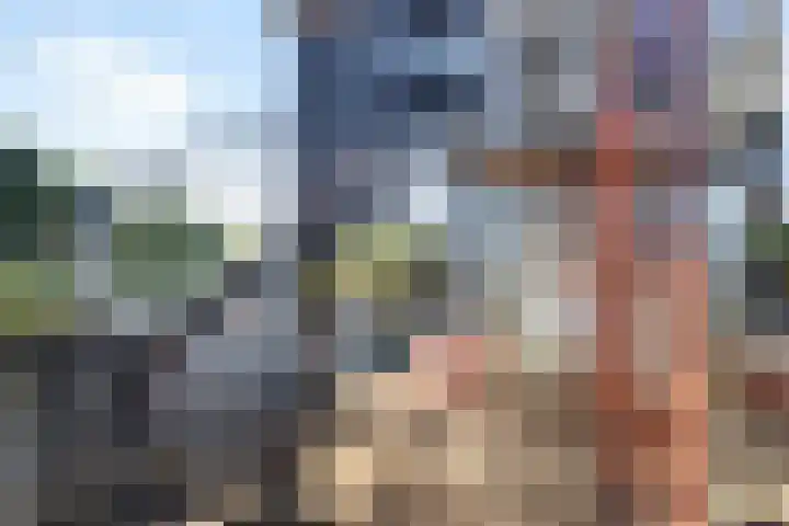 Zalm 21 Amersfoort thumbnail 17