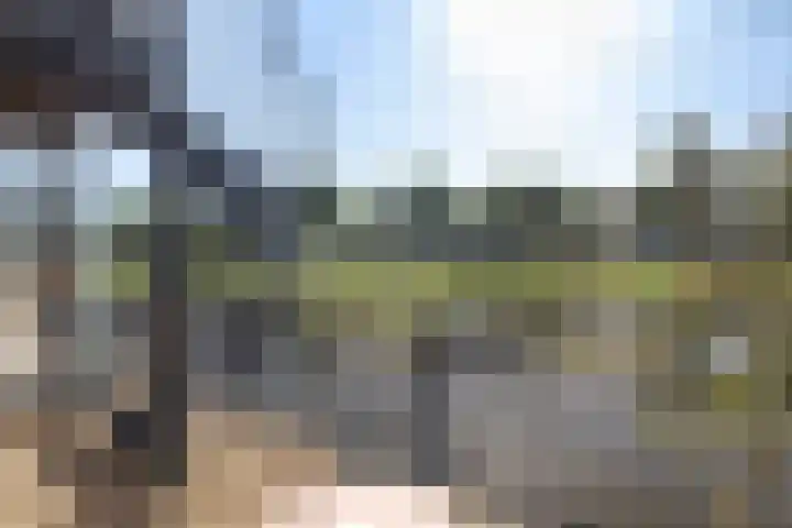 Zalm 21 Amersfoort thumbnail 18