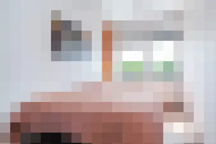 Zalm 21 Amersfoort thumbnail 22