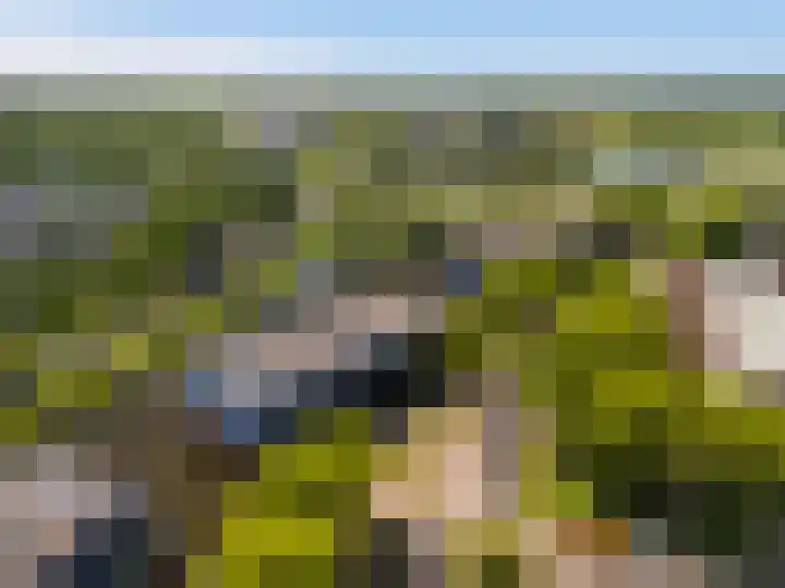 Zalm 21 Amersfoort thumbnail 27